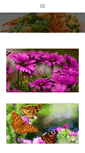 Mobile Screenshot of hejrat.info
